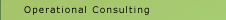 Operational Consulting